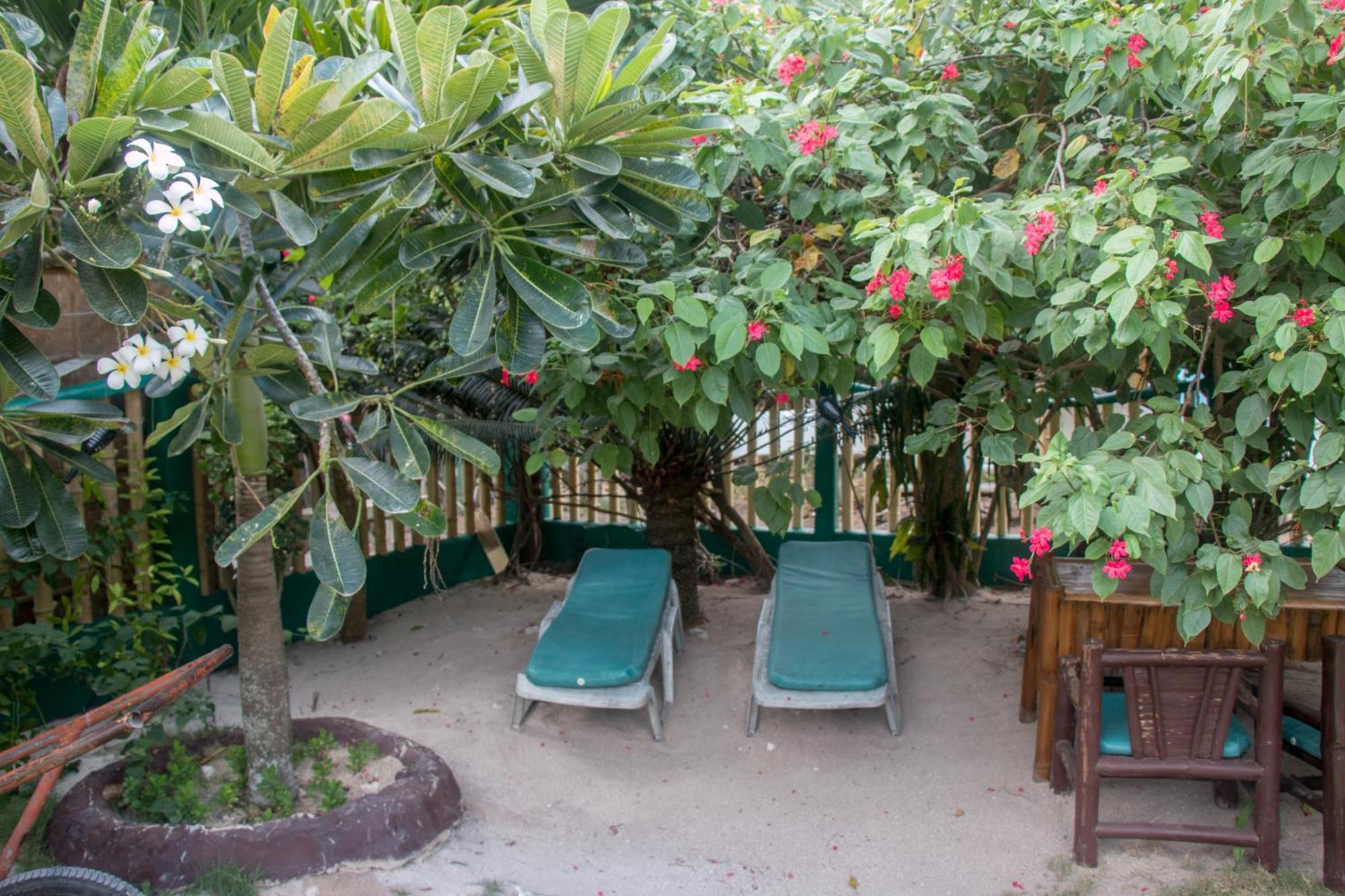 Moonlight Resort Pulau Malapascua Bagian luar foto